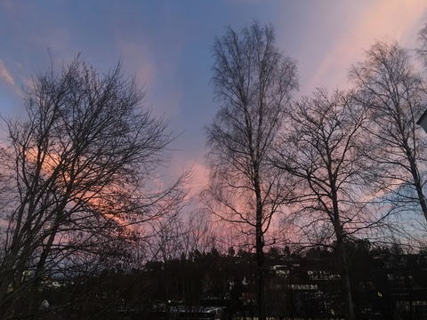 Jennifox @u142200641 cover picture