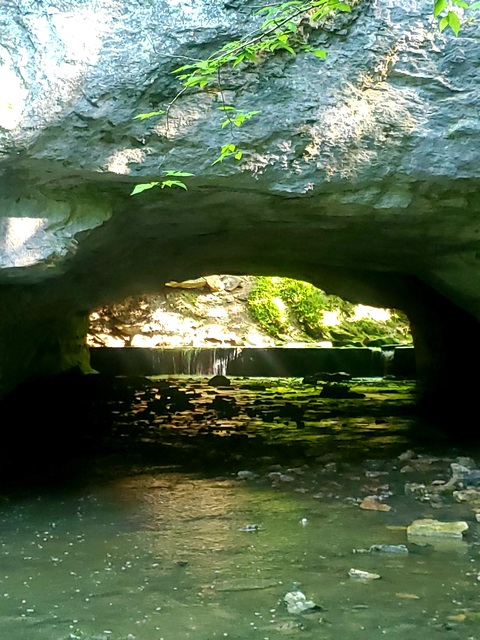 GIGI MARIE @u154094027 cover picture