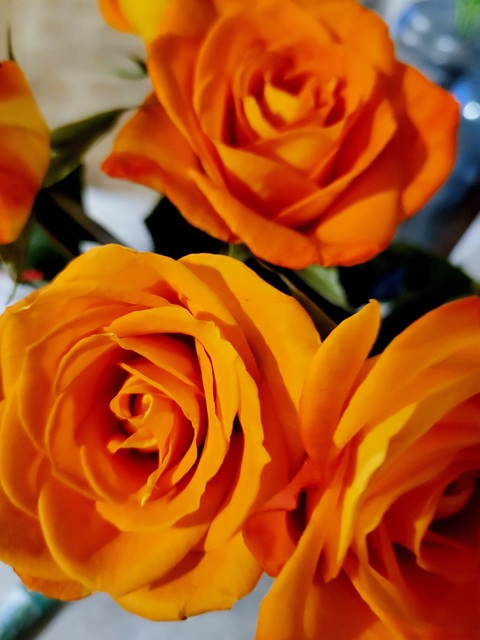 Samantha @u154337883 cover picture