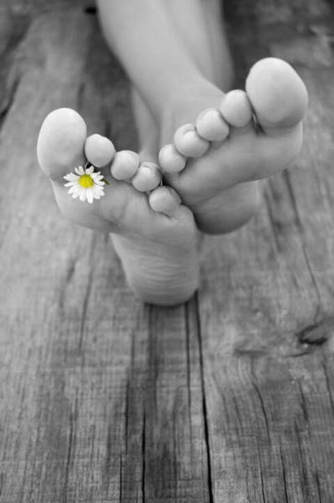 Savannah @u154373973 cover picture