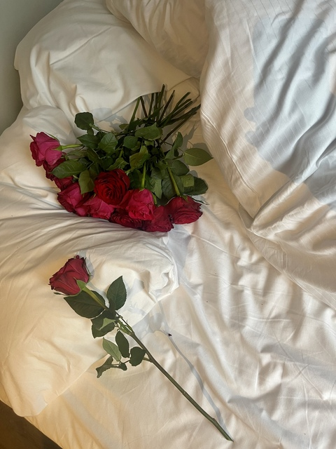 DariaS @u173336373 cover picture