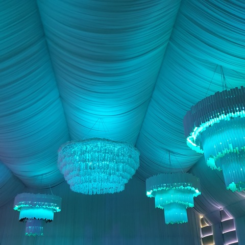 Elegansss @u176483638 cover picture