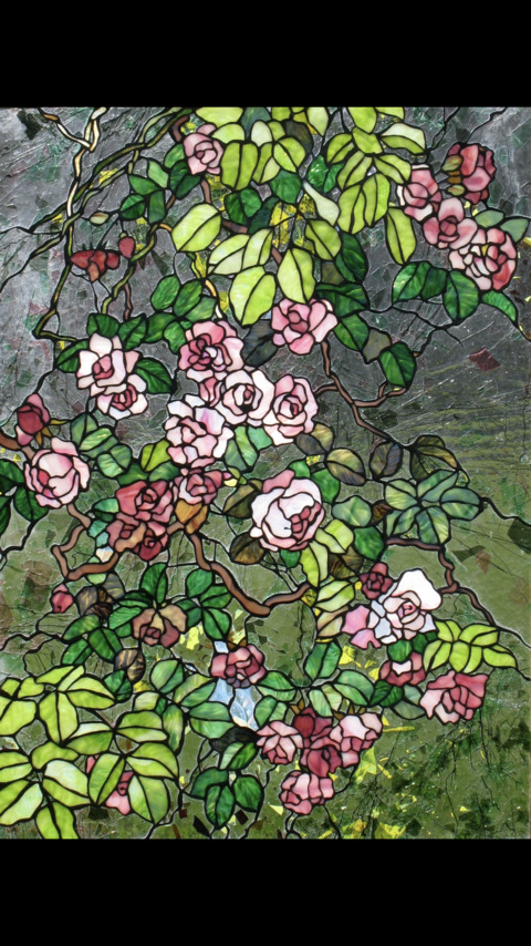 Oracle @u18877167 cover picture