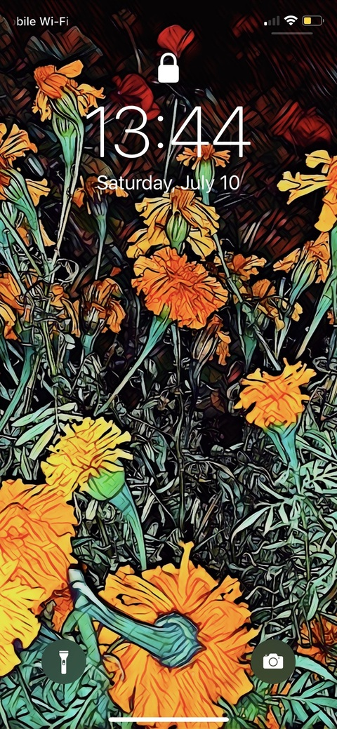 Markkypoo @u19237192 cover picture