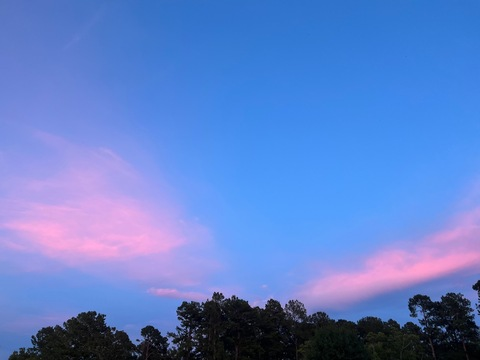 alexis @u196253524 cover picture