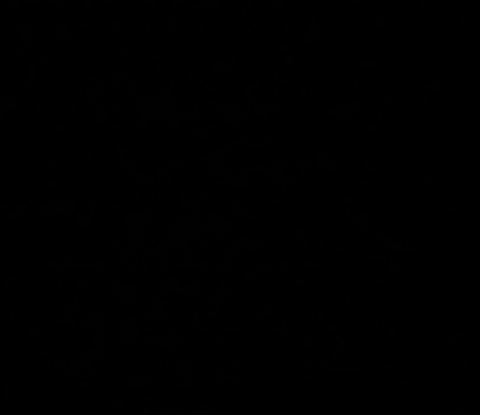 Wutuwansumdick @u22596410 cover picture