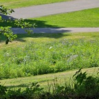 u22654325 Profile Picture