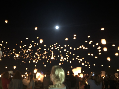 Amina @u23055253 cover picture