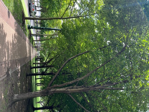 Michael @u249321866 cover picture