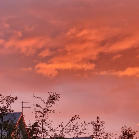 QueenJen👑 @u253014913 cover picture