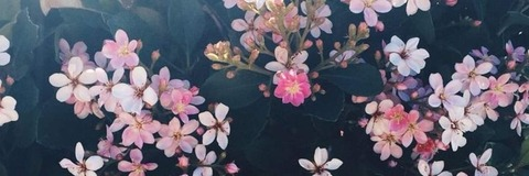 𝔗𝔯𝔦𝔫𝔞 𝔖𝔦𝔫𝔠𝔩𝔞𝔦𝔯 @u265463746 cover picture