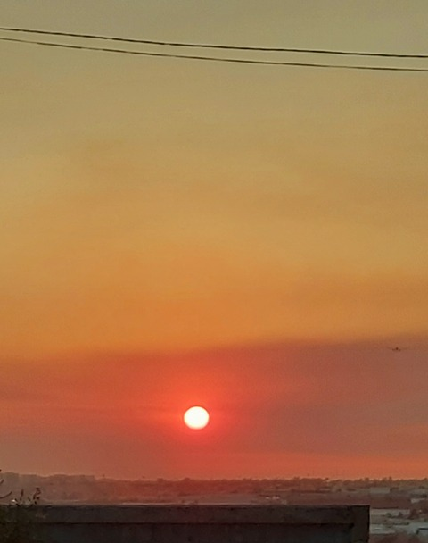 T3ddy @u267697271 cover picture