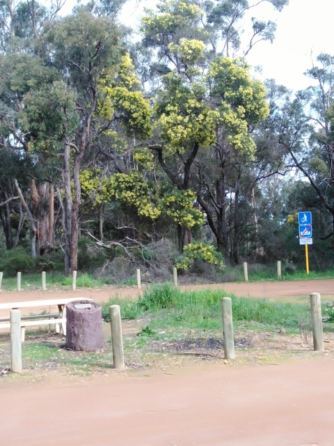 Larajean @u269871132 cover picture