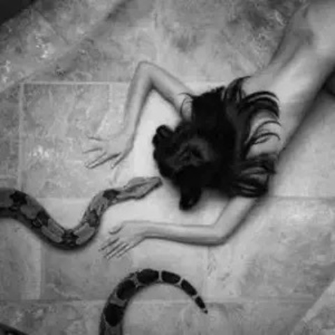 Celine Brunette @u277606824 cover picture