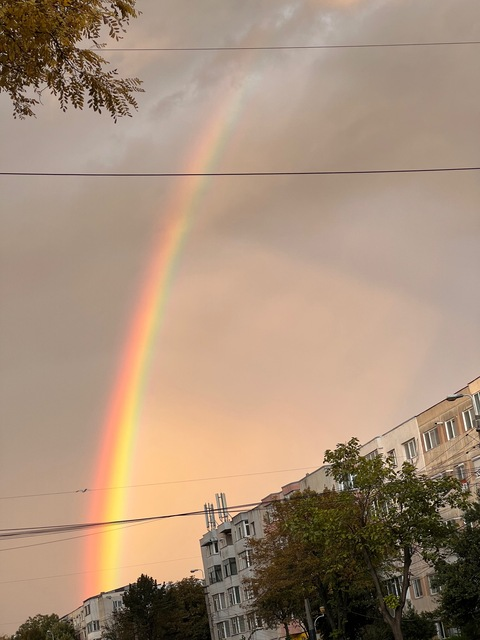 Altza @u278142870 cover picture