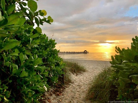 Victoria’s Secret @u279739572 cover picture