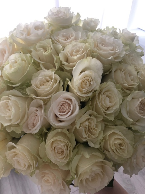 Yolanda You @u285471785 cover picture