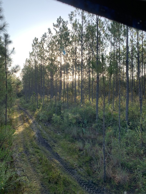 u4026016 @u4026016 cover picture