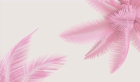 Hanari @u53720861 cover picture