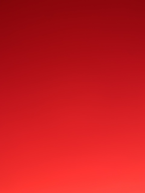 Frenchie<3 @u60097852 cover picture