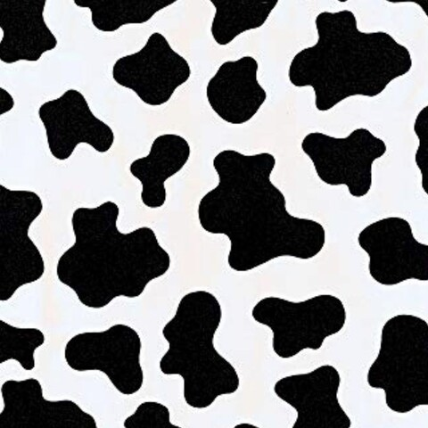 Fatima Bonilla @u91129756 cover picture