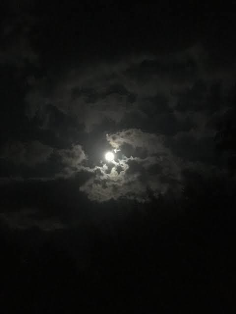 Uğur Koç @ugurx cover picture