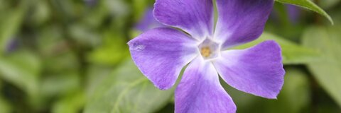 u29205829 @ukgirl cover picture