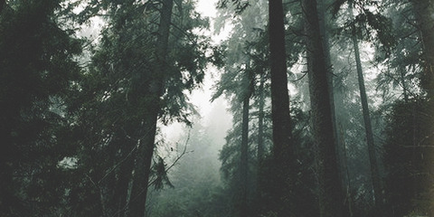 Luke @ulibarri cover picture