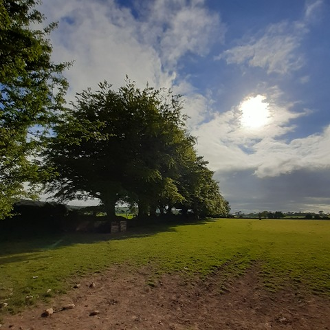 Daniel @vaguelynude cover picture