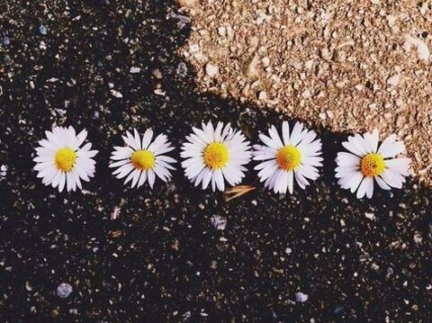 valeria @valecita cover picture