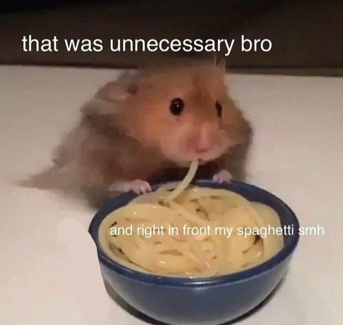 seb @vaneri cover picture