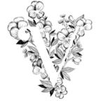 vanessa2 Profile Picture