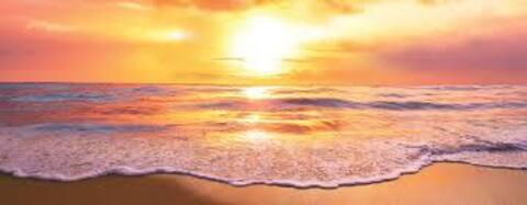 Vanessa Higgins @vanessaaa98 cover picture