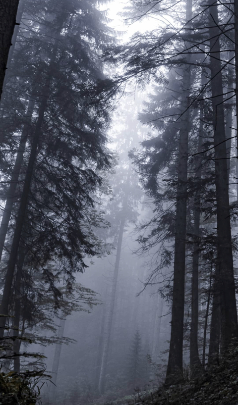 jayjay @vanillathunder cover picture