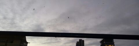 Manuel Vega Orellana @vegao94 cover picture