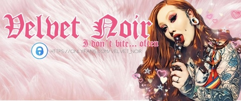 Velvet Noir @velvet_noir cover picture