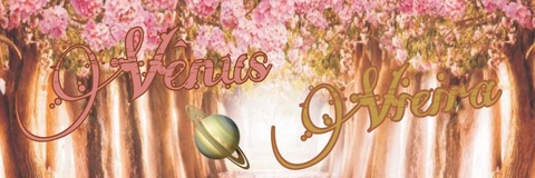 ⚡️ Venus 🪐 Vieira @venus_vieira cover picture