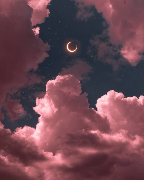 Venus ☁️ @venusxc cover picture