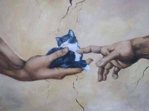 Veronica May @veronicamayxo cover picture