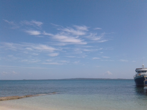 france @vestigia cover picture