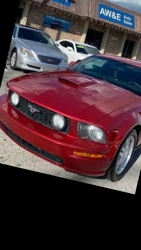 ali @vibewitali cover picture