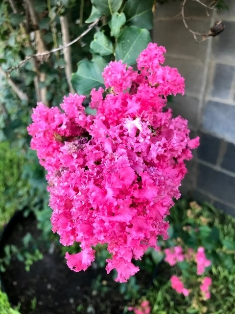 Victoria @victoriae cover picture