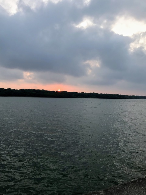 u5076079 @villalobos cover picture