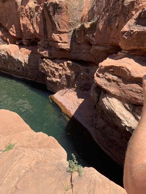 What You Wanna See @vitiligohomo cover picture