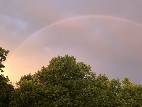 Sea @vixenminx cover picture