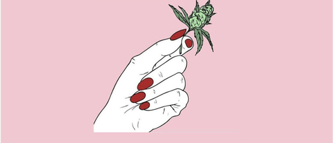 missweedprincess @weeed_princess cover picture