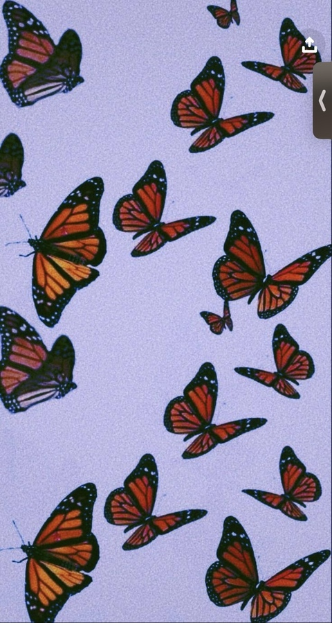 nat @whatyoustarinat cover picture