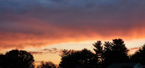whiskey @whiskeysunset cover picture