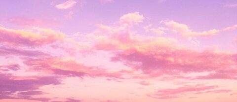 Whit 💗 @whitlee5 cover picture