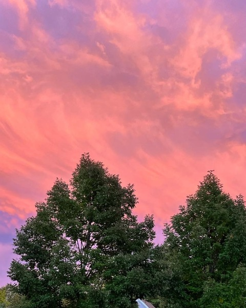 whoisgamorraa @whoisgamorraa cover picture